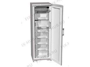 Холодильник Gorenje F61300E (131052, ZOS3167C) - Фото